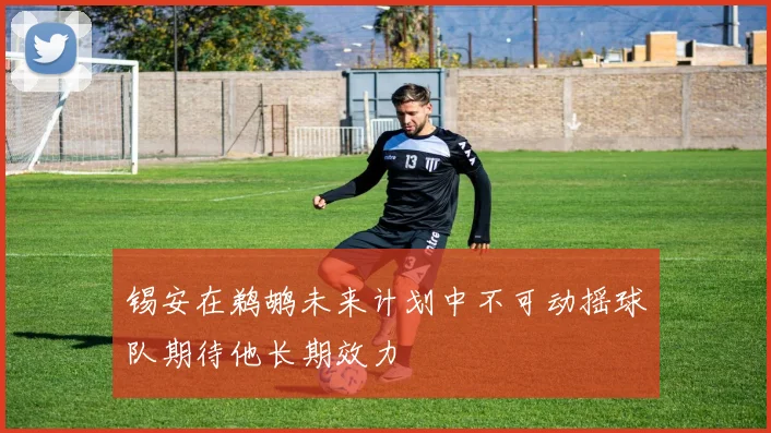 锡安在鹈鹕未来计划中不可动摇球队期待他长期效力